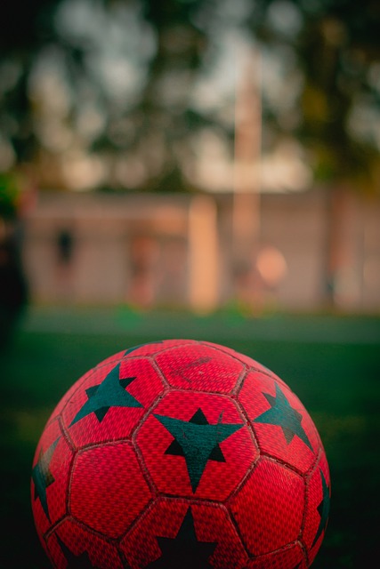 我们期待看 我们期待看