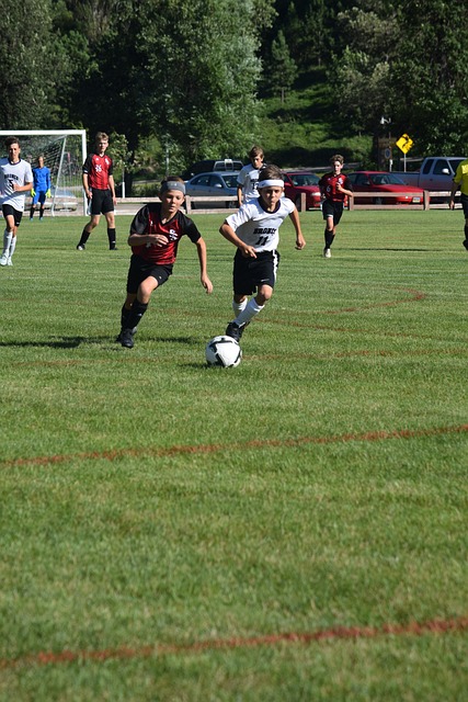 在娱乐圈中 在娱乐圈中