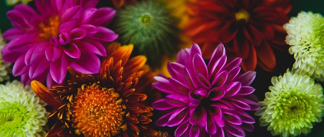 供了珍贵的 供了珍贵的