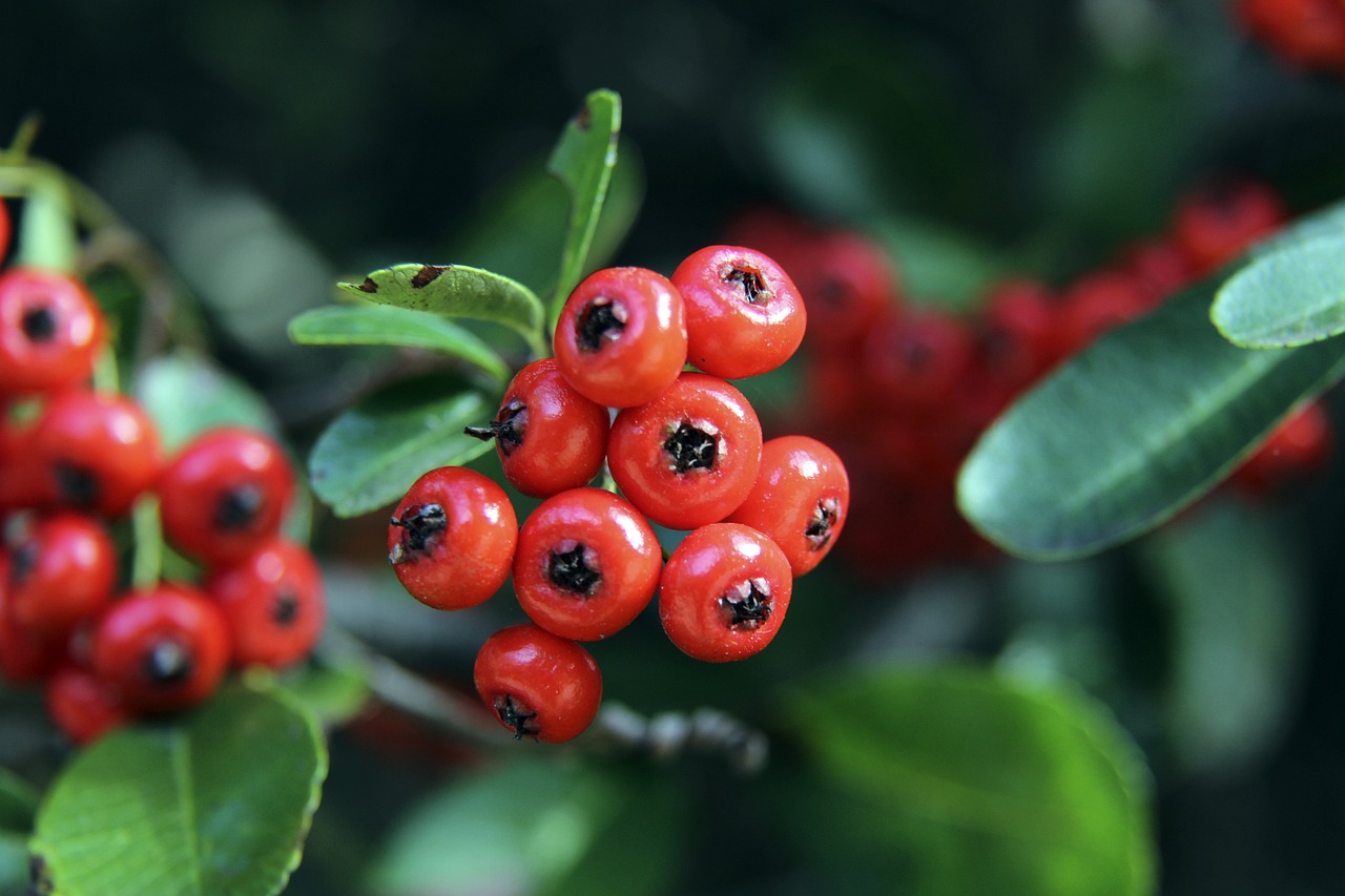 勇士通过快 勇士通过快