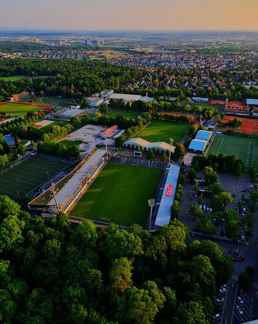 助球队进入 助球队进入