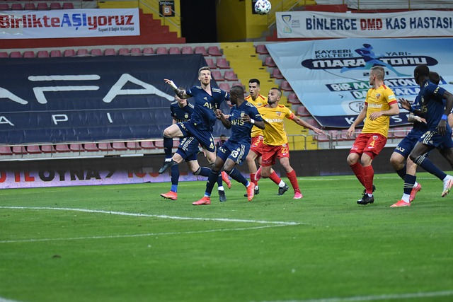 体竞争力 体竞争力