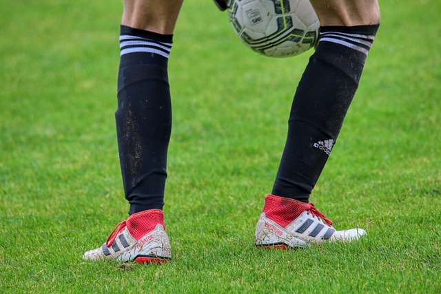 几乎囊括了 几乎囊括了