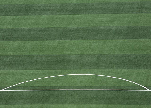 骨折的消息 骨折的消息